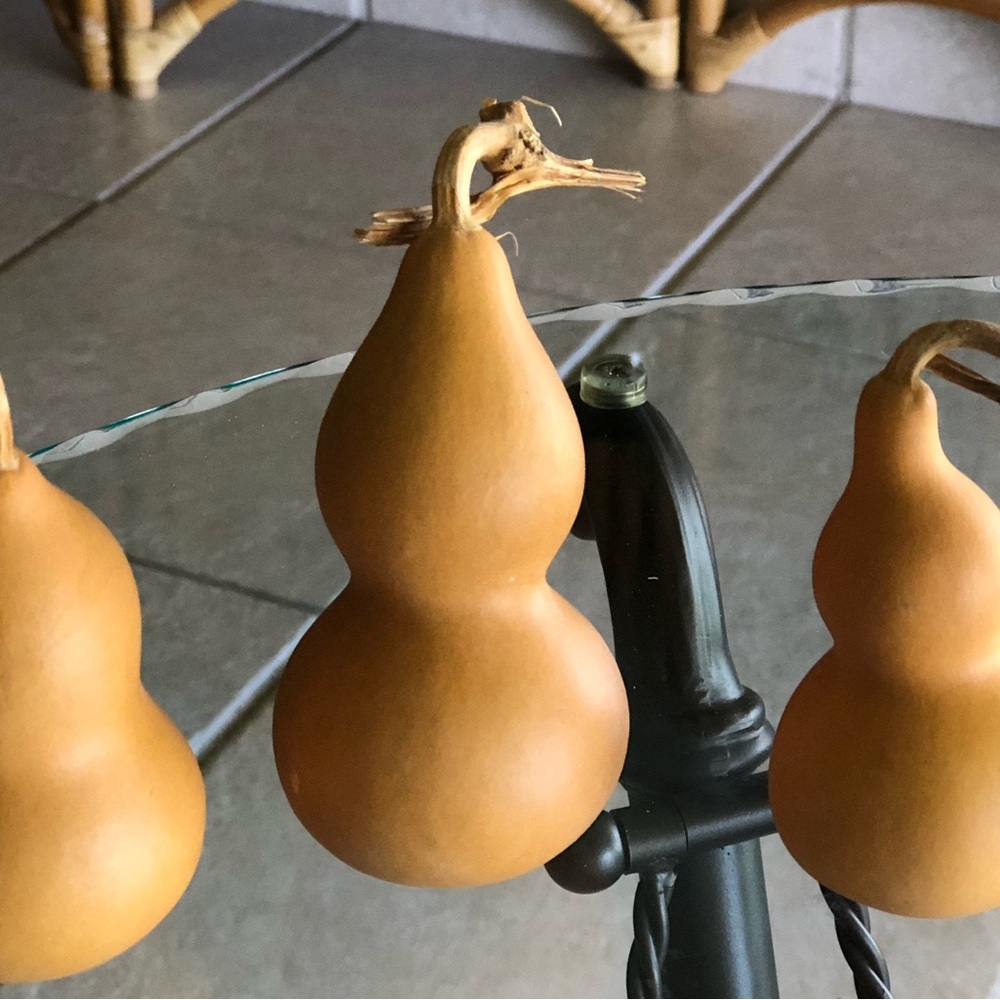 Natural Brown Decorative Gourd Accent - Brand Unbranded